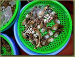 20180321_183415.jpg