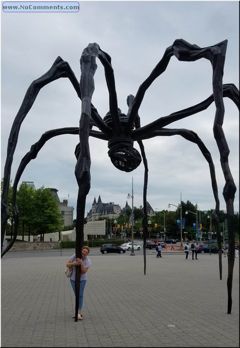 20180815_152207.jpg