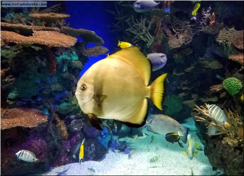 20180817_155553.jpg