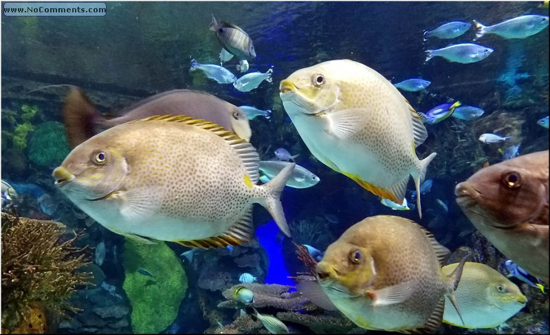 20180817_155837.jpg