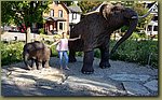 20180816_085707.jpg