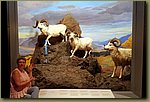 20180816_095708.jpg