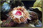 20180816_100328.jpg