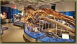 20180816_100544.jpg