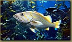 20180817_154855.jpg