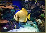 20180817_155553.jpg