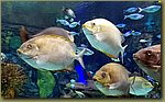 20180817_155837.jpg