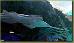 20180817_161143.jpg