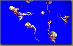 20180817_162521.jpg