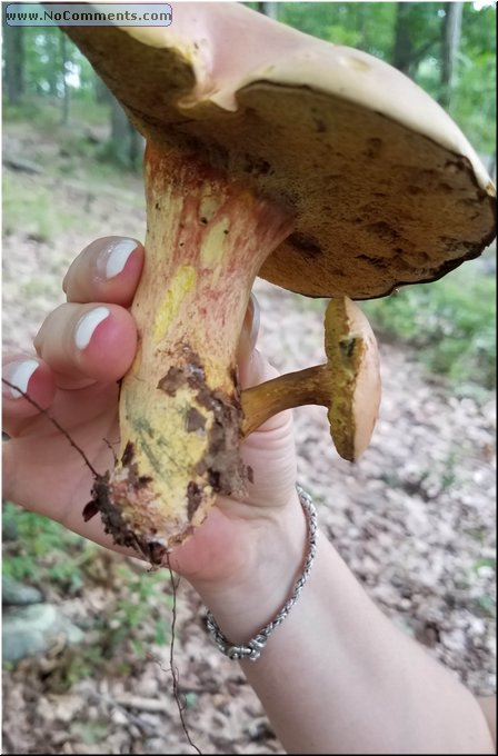 20180807_200609e.jpg