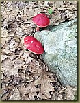 20180807_200609b.jpg