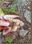 20180807_200609d.jpg