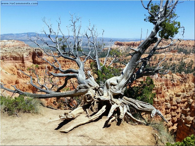 Bryce_Canyon_12.jpg