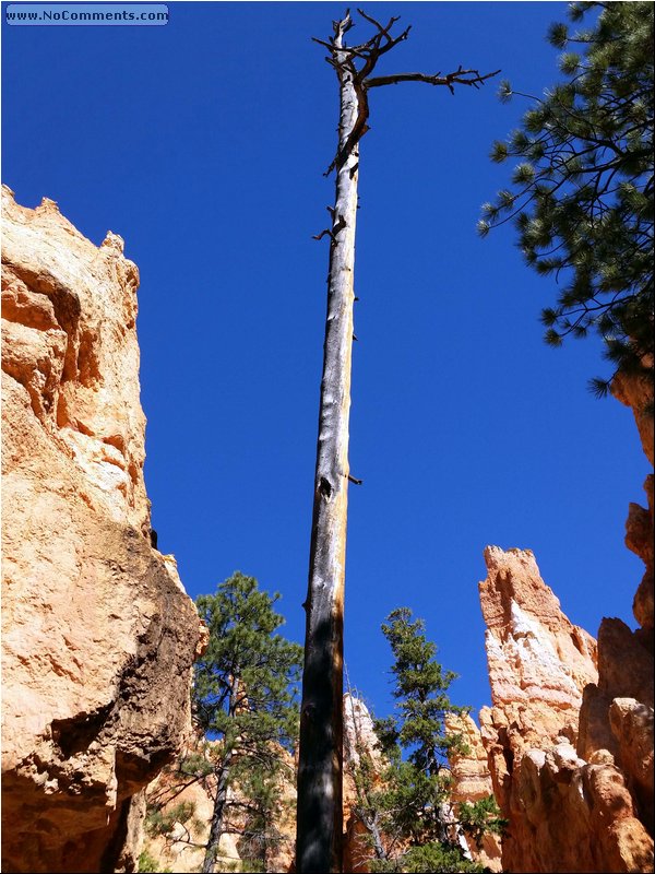 Bryce_Canyon_41.jpg