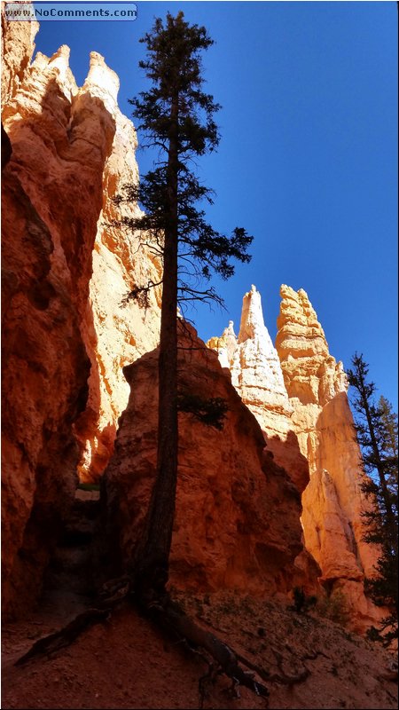 Bryce_Canyon_44.jpg