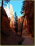 Bryce_Canyon_40.jpg