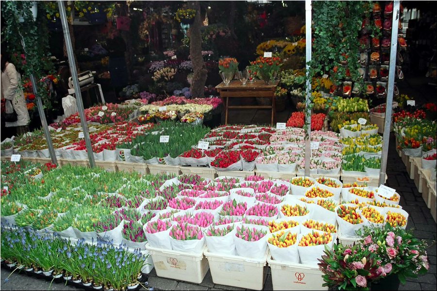 flower-market31.jpg