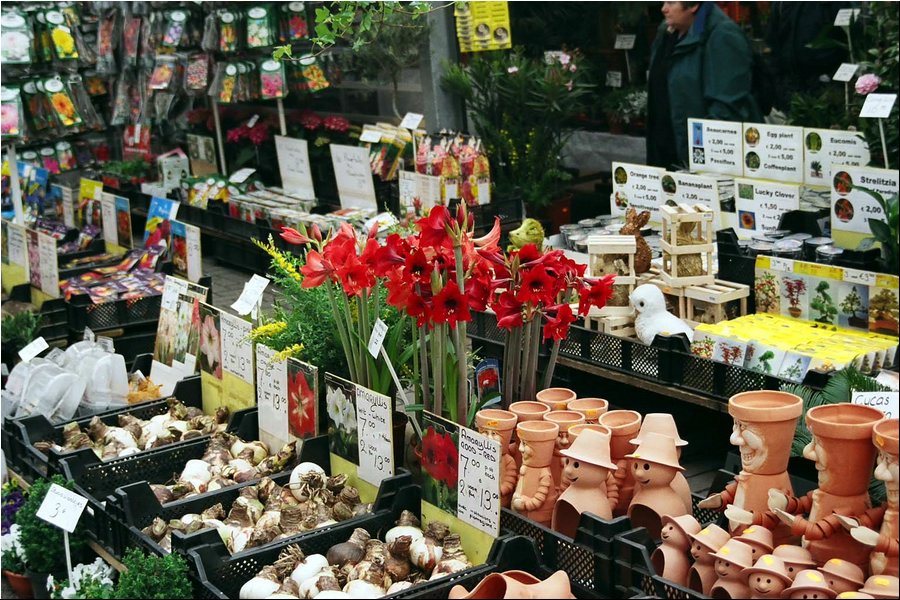 flower-market7.jpg