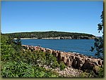 Acadia National Park 7.jpg