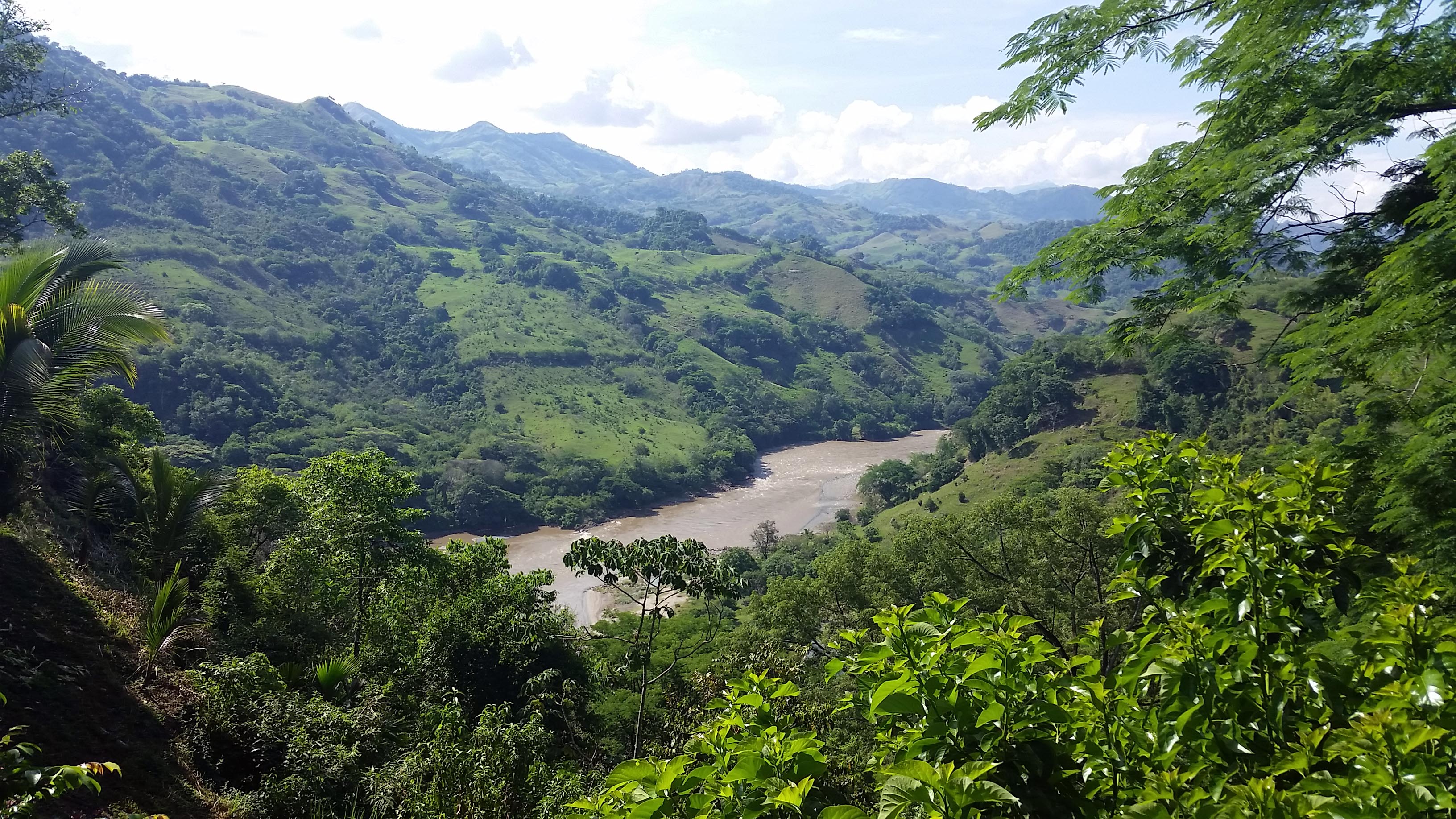 Coffee Region, (Manizales) Colombia 2015