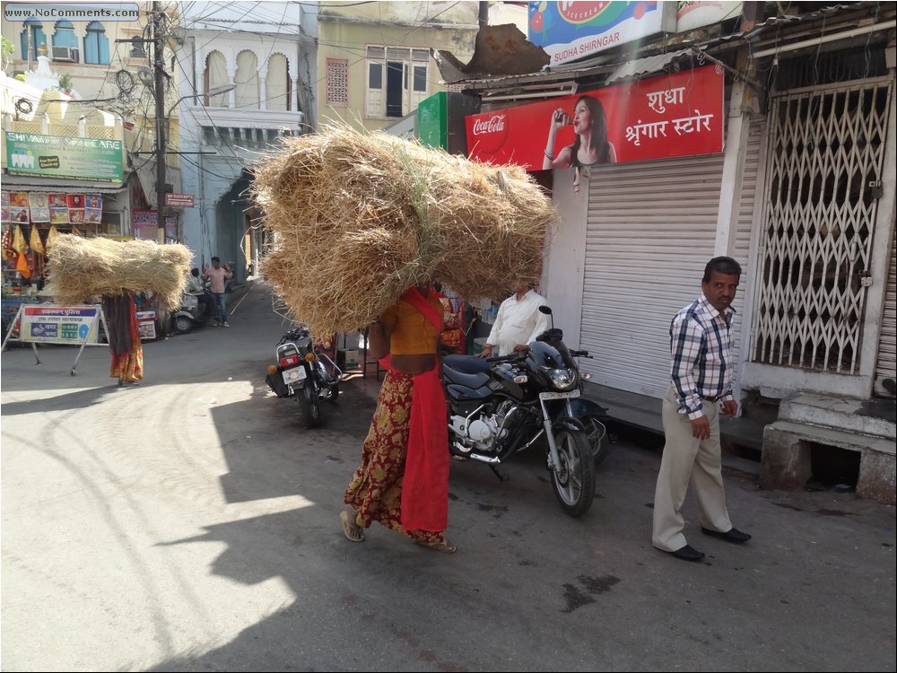 Udaipur Temple 18.JPG