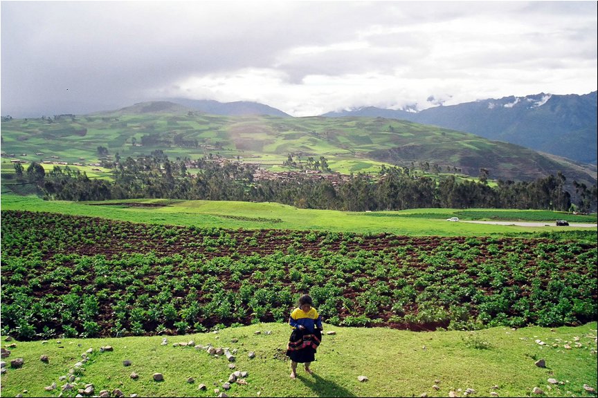 Peru12.jpg