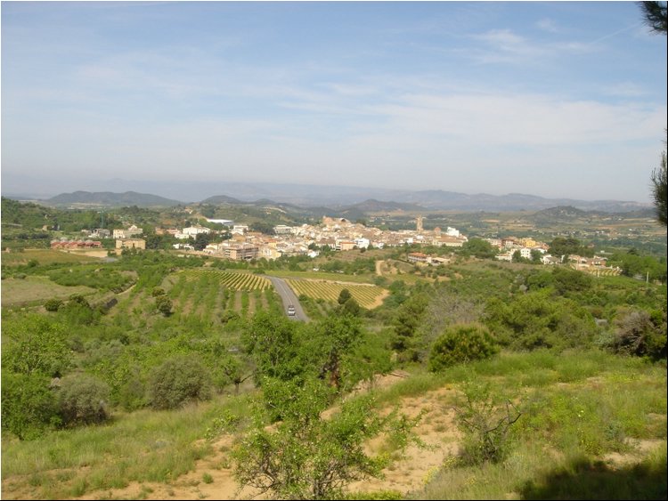 Priorat Wine Region  2.JPG