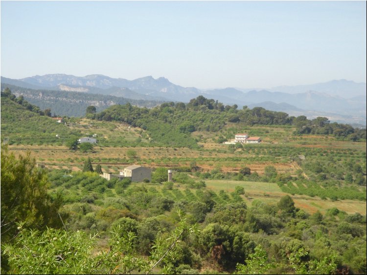 Priorat Wine Region.JPG