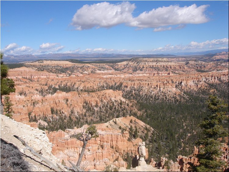 Bryce Canyon 6.JPG