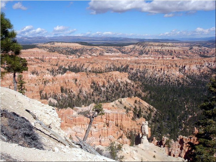 Bryce Canyon 6b.JPG