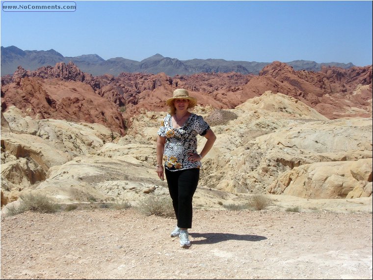 Valley of Fire 5b.jpg